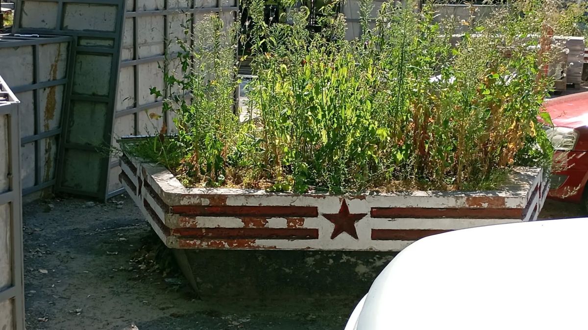 Куряне опасаются срыва срока ремонта главной аллеи мемориала Памяти Павших Куряне опасаются срыва срока ремонта главной аллеи мемориала Памяти Павших