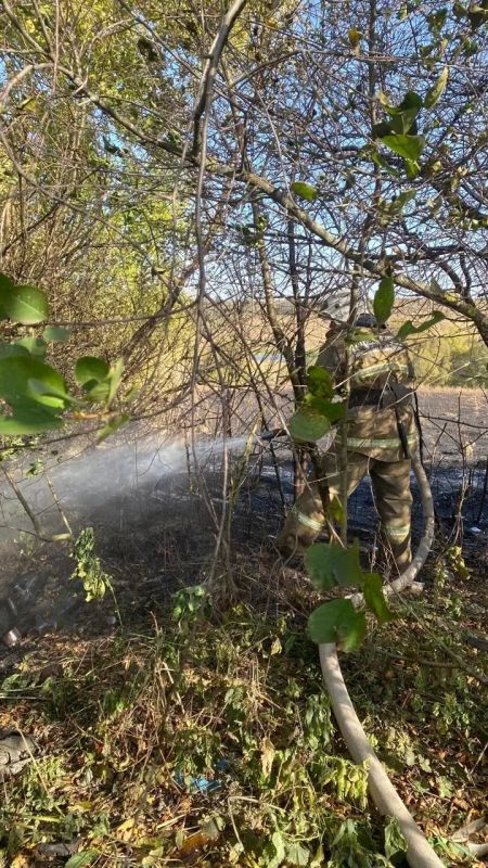 Огнеборцы ПЧ Обоянского района на выезде на тушение возгораний Огнеборцы ПЧ Обоянского района на выезде на тушение возгораний