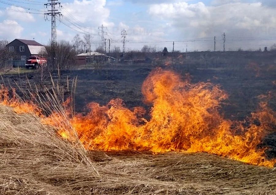 С 20 августа в Курской области планируют ввести особый противопожарный режим