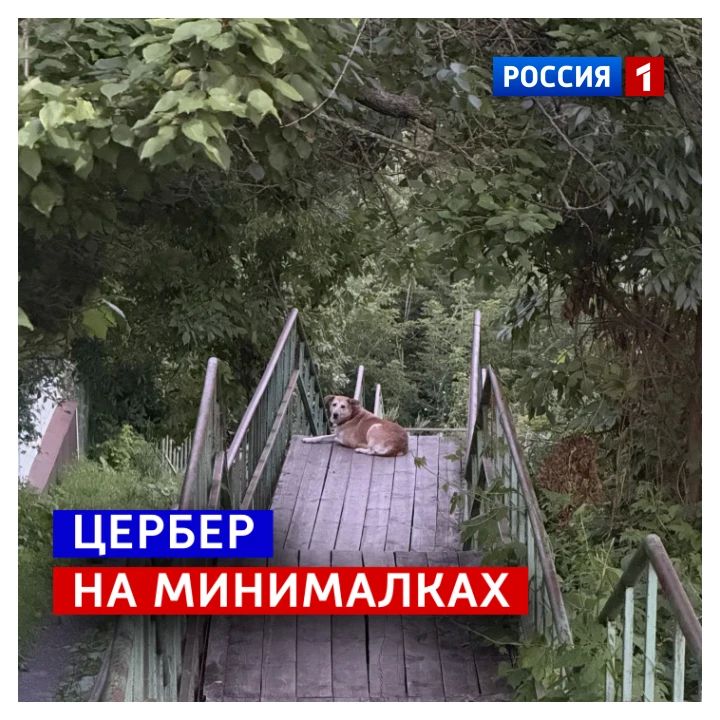 18 августа, вторник. Сегодня День «Никогда не сдавайся». Жизнь преподносит нам непреодолимые препятствия
