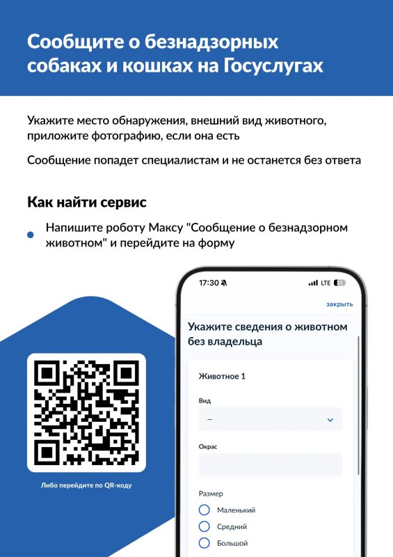 Сообщаем о запуске сервисов «Отлов безнадзорных животных» и «Запись на прием в госветклинику»