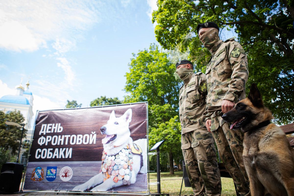 19 августа в Курске прошла Всероссийская мемориальная акция «День фронтовой собаки»
