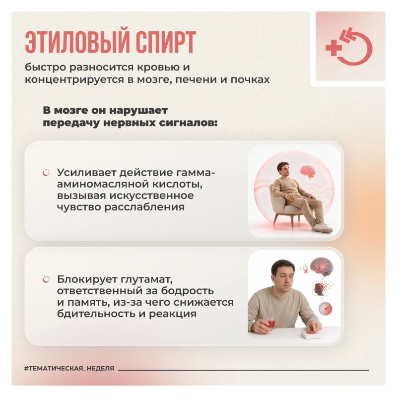 Алкоголь попадает в кровь за считанные секунды и беспрепятственно проникает через защитный барьер мозга, напрямую вмешиваясь в работу центральной нервной системы Алкоголь попадает в кровь за считанные секунды и беспрепятственно проникает через защитный барьер мозга, напрямую вмешиваясь в работу центральной нервной системы
