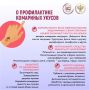 20 августа - Всемирный день комара