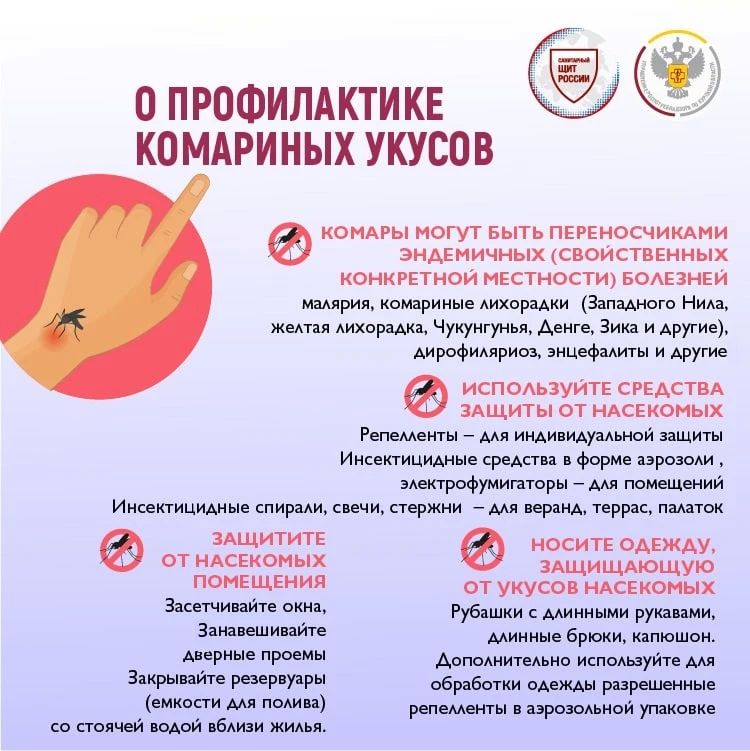 20 августа - Всемирный день комара