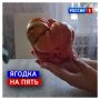21 августа, пятница. Выходные уже завтра, но мы-то понимаем, что далеко не все будут отдыхать