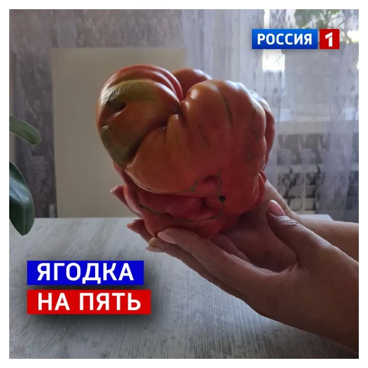 21 августа, пятница. Выходные уже завтра, но мы-то понимаем, что далеко не все будут отдыхать
