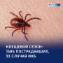 От укуса до диагноза: пять новых случаев клещевого боррелиоза за неделю