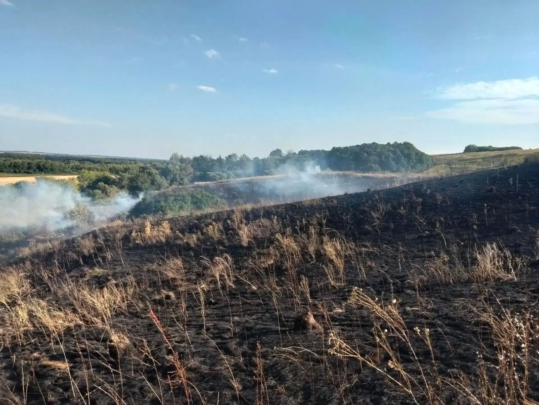 Добровольные пожарные помогают тушить ландшафтные пожары Добровольные пожарные помогают тушить ландшафтные пожары