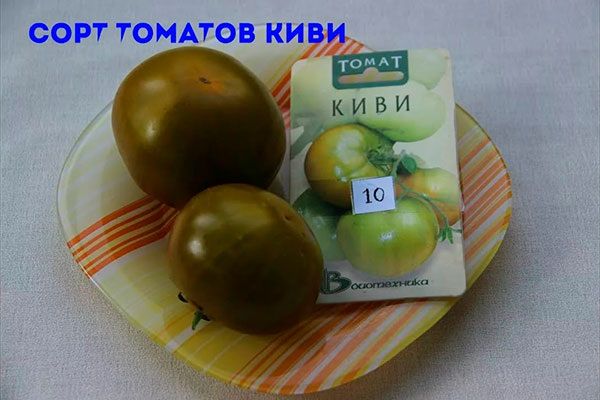 Киви: сорт помидоров, который привлекает внимание садоводов