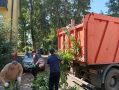 Сотрудники Администрации города Курска и подведомственных учреждений вновь вышли на субботник