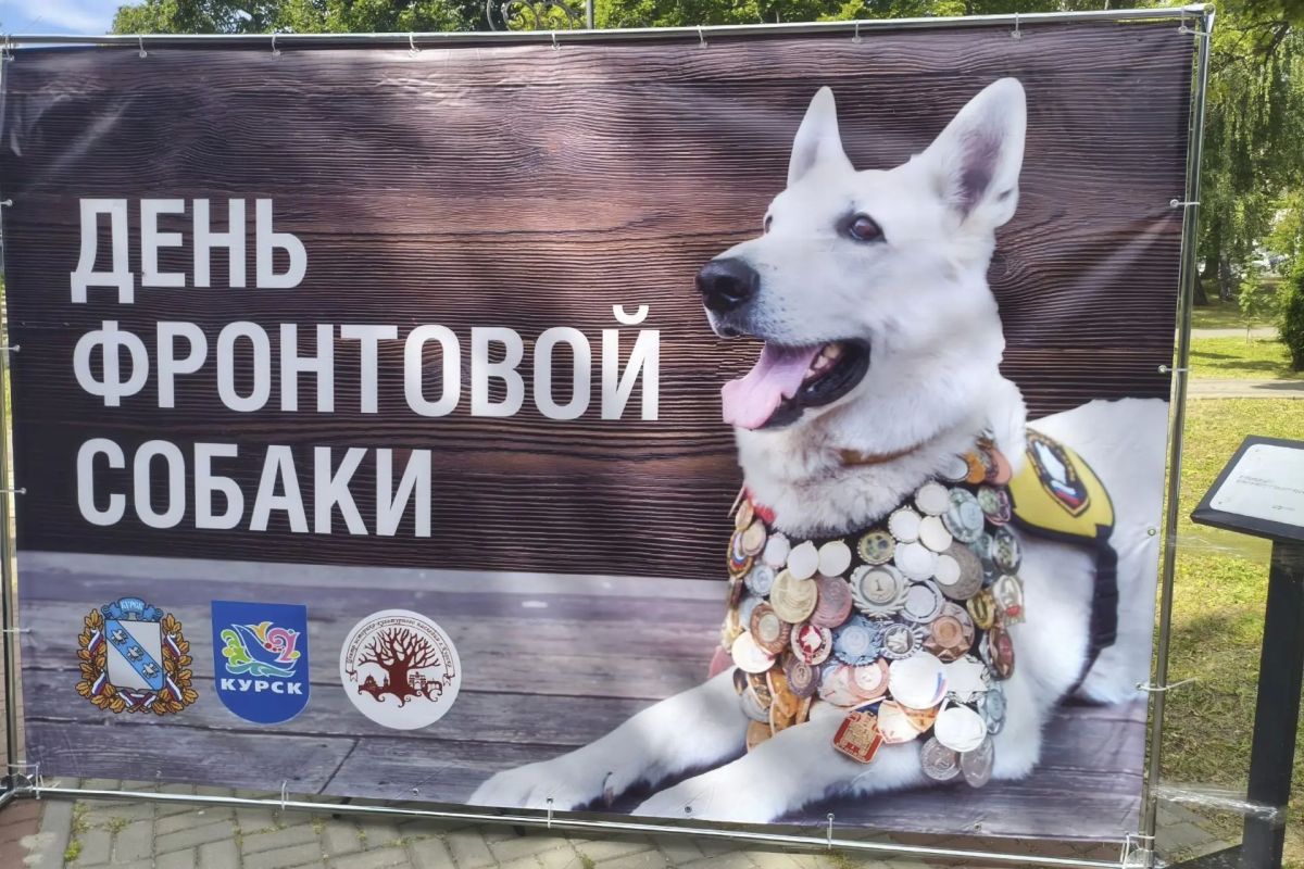 Хвостатые герои: как собаки приближали Победу