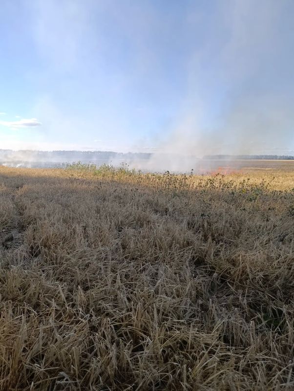 Поныровские огнеборцы на ликвидации горения поля