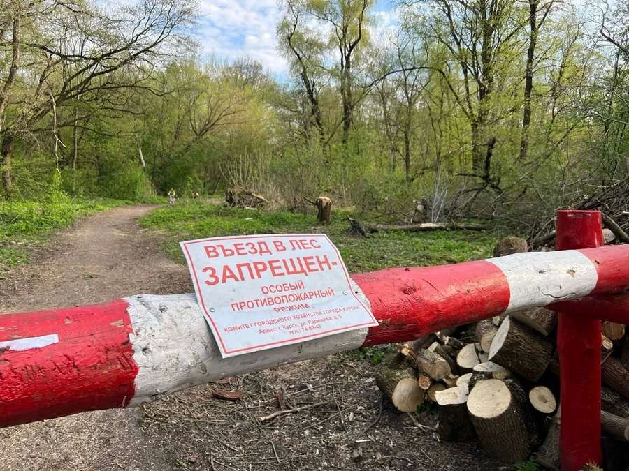 В Курской области введен особый противопожарный режим