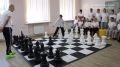 Александр Хинштейн подарил шахматы детям в Понырях