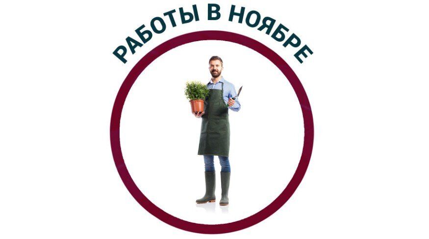 Работы в саду в ноябре