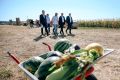 Губернатор Курской области Александр Хинштейн продолжает знакомиться с проектами Ассоциации предприятий агро- и экотуризма