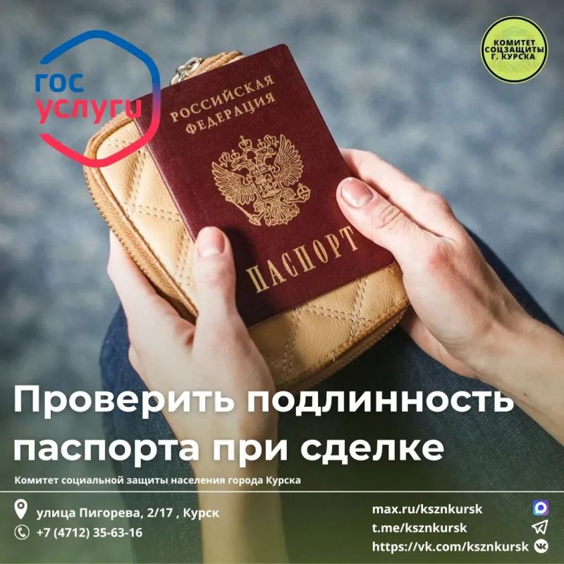 Проверка паспорта через Госуслуги: залог безопасности сделок