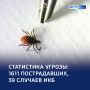 �������� �����: ����� 1600 ����� � � �������