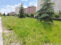 Погода балует Курскую область тёплым завершением августа