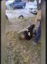 По фактам, изображенным на видео, в полиции инициирована проверка