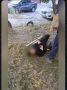 В Курске полиция проверяет видео с избиением ребенка