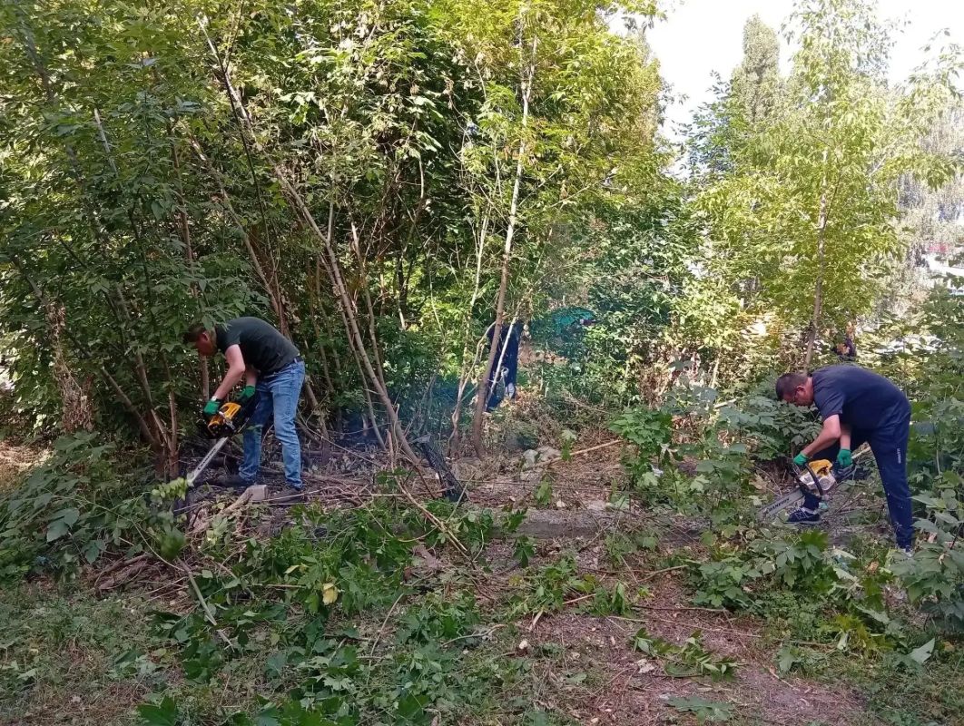 В Курске на субботнике вывезли более 60 кубометров мусора В Курске на субботнике вывезли более 60 кубометров мусора