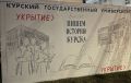 Курянам нравится роспись укрытия