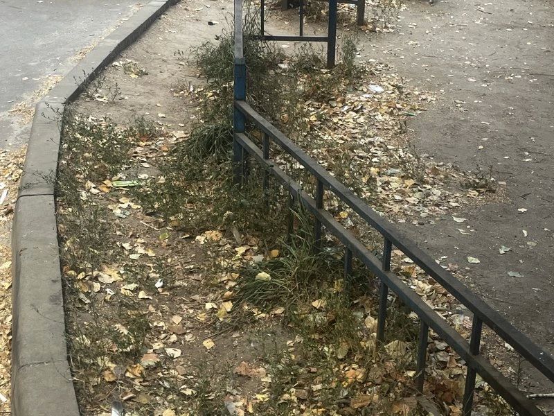 Двор дома №2/4 на Красной площади пугает курян мусором и мёртвыми голубями Двор дома №2/4 на Красной площади пугает курян мусором и мёртвыми голубями