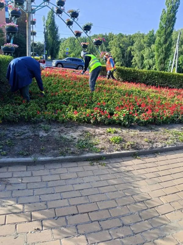 Лето сменяется осенью, а Городская коммунальная служба не теряет ни минуты, чтобы для железногорцев смена сезонов прошла спокойно и комфортно Лето сменяется осенью, а Городская коммунальная служба не теряет ни минуты, чтобы для железногорцев смена сезонов прошла спокойно и комфортно