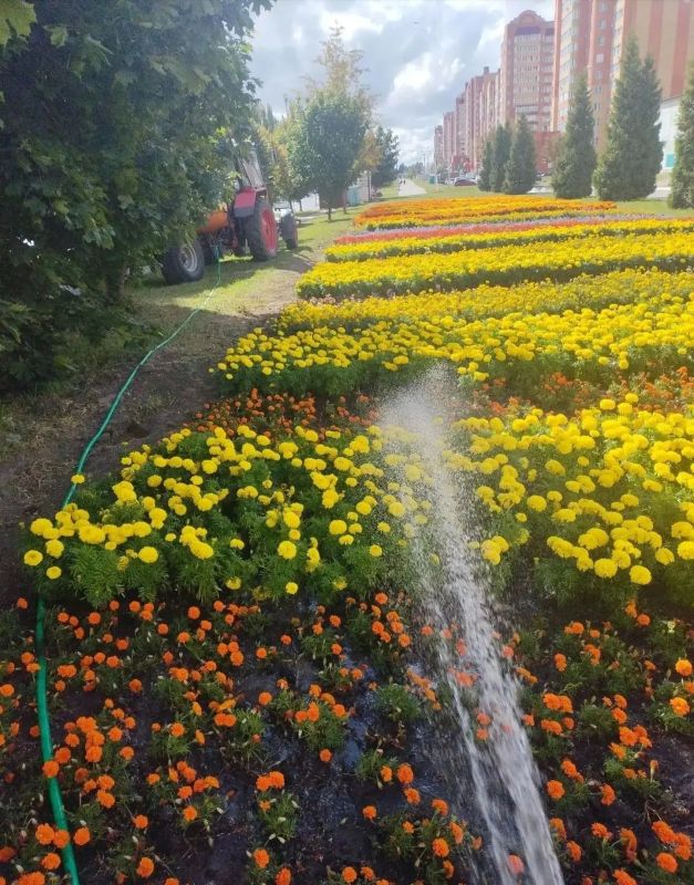 Лето сменяется осенью, а Городская коммунальная служба не теряет ни минуты, чтобы для железногорцев смена сезонов прошла спокойно и комфортно Лето сменяется осенью, а Городская коммунальная служба не теряет ни минуты, чтобы для железногорцев смена сезонов прошла спокойно и комфортно