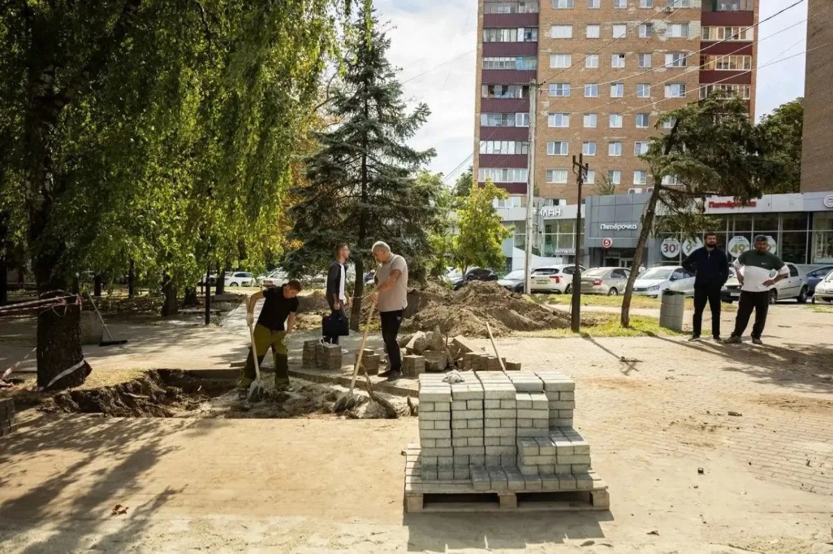 В Курске в сквере на Перекальского появятся скульптуры музыкальных инструментов В Курске в сквере на Перекальского появятся скульптуры музыкальных инструментов