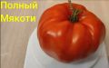 Огромные томаты: как выбрать идеальные сорта для вашего огорода