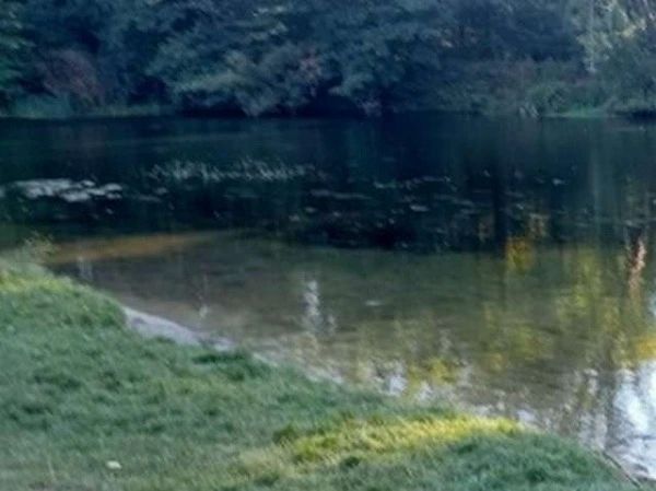 В Курске сегодня, 7 сентября, в Сеймском округе произошла трагедия