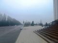 В Курском парке "Патриот" займутся пересадкой красного клена