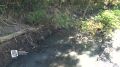 В Курске в овраг на Плевицкой льются канализационные воды