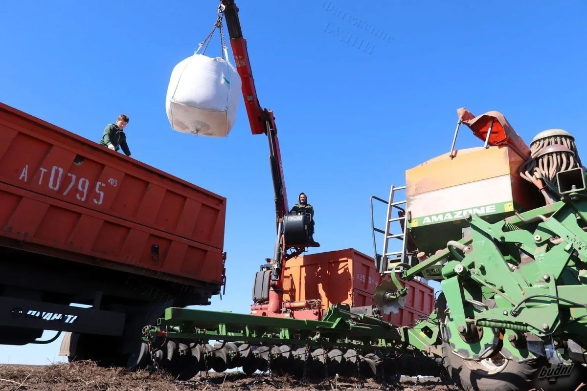 В хозяйствах района озимая пшеница посеяна на площади 5 150 гектаров В хозяйствах района озимая пшеница посеяна на площади 5 150 гектаров