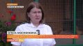 Усы, лапы и хвост — вот мои документы