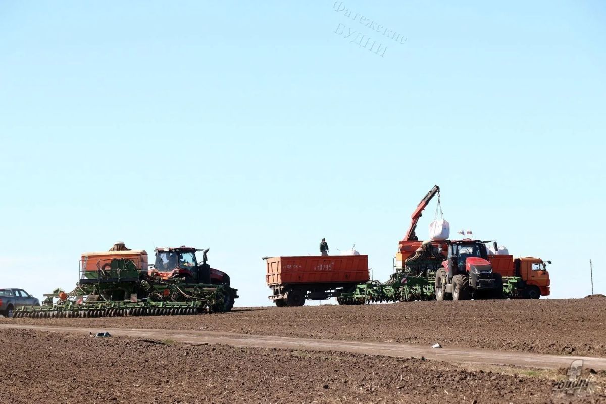 В хозяйствах района озимая пшеница посеяна на площади 5 150 гектаров В хозяйствах района озимая пшеница посеяна на площади 5 150 гектаров