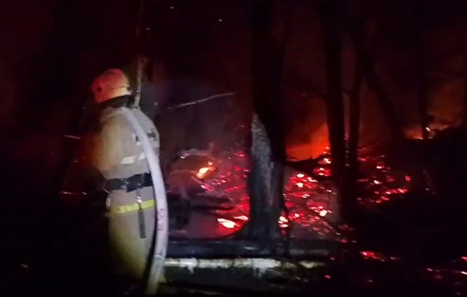 Огнеборцы ПЧ Дмитриевского района на тушении валежника в посадке в с.Фатеевка Огнеборцы ПЧ Дмитриевского района на тушении валежника в посадке в с.Фатеевка