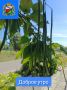 ������ ����. ������ ������� � ��������� �������� ���! ����� ����� ������������ �� ���� ���������, ��� ���� ��� �� ����� � �������� �������� �����! ����� ���� ����� ������������ � ��������!