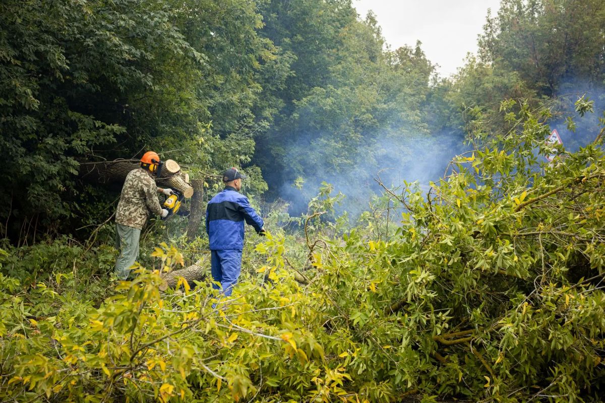 В Курске прошёл городской субботник В Курске прошёл городской субботник