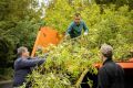 На «пьяной дороге» провели опиловку аварийных деревьев