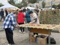 Праздничная программа не ограничилась выставками