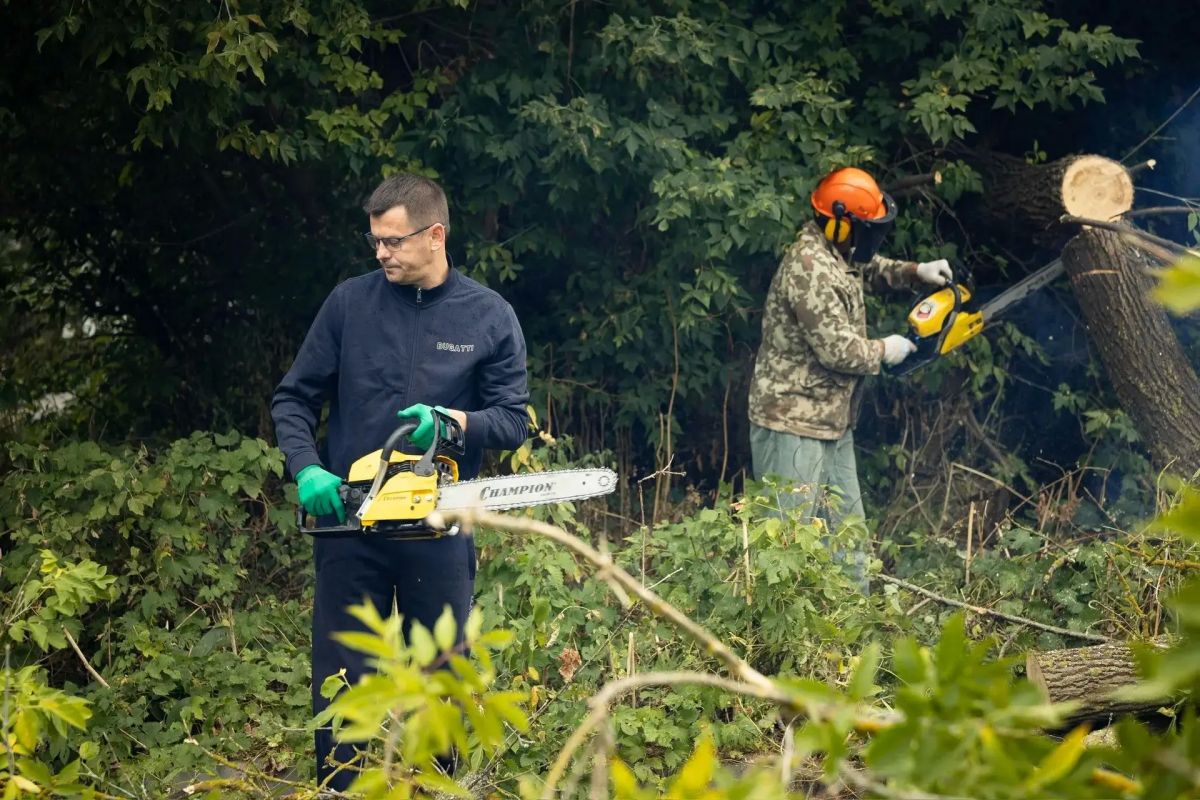 На «пьяной дороге» в Курске спилили аварийные деревья На «пьяной дороге» в Курске спилили аварийные деревья