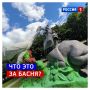 13 сентября, воскресенье. В это хмурое утро делимся с вами солнечным фото