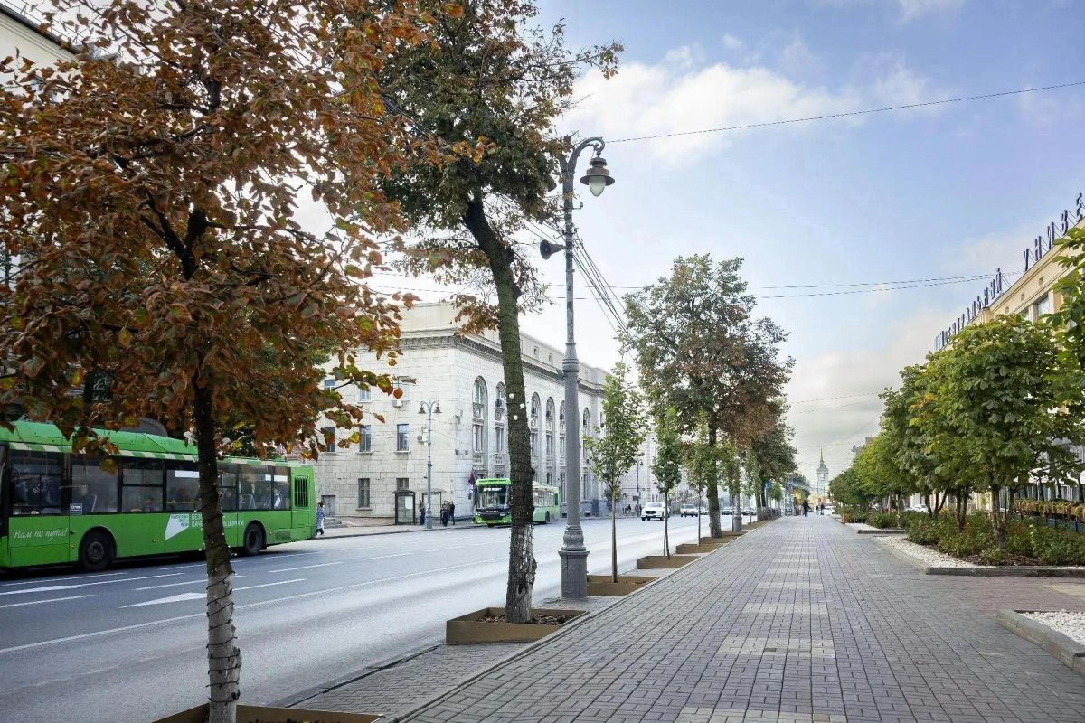 В Курске на улице Ленина возрастным липам делают прививки В Курске на улице Ленина возрастным липам делают прививки