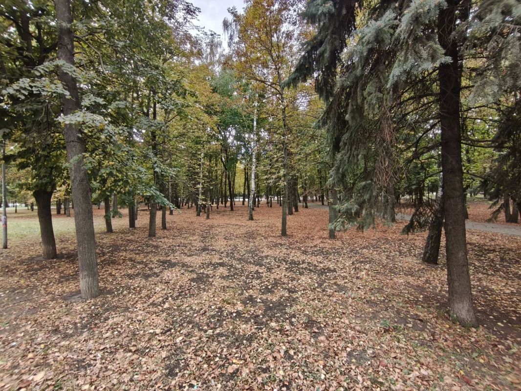 В Курской области 17 сентября ожидается +23 градуса