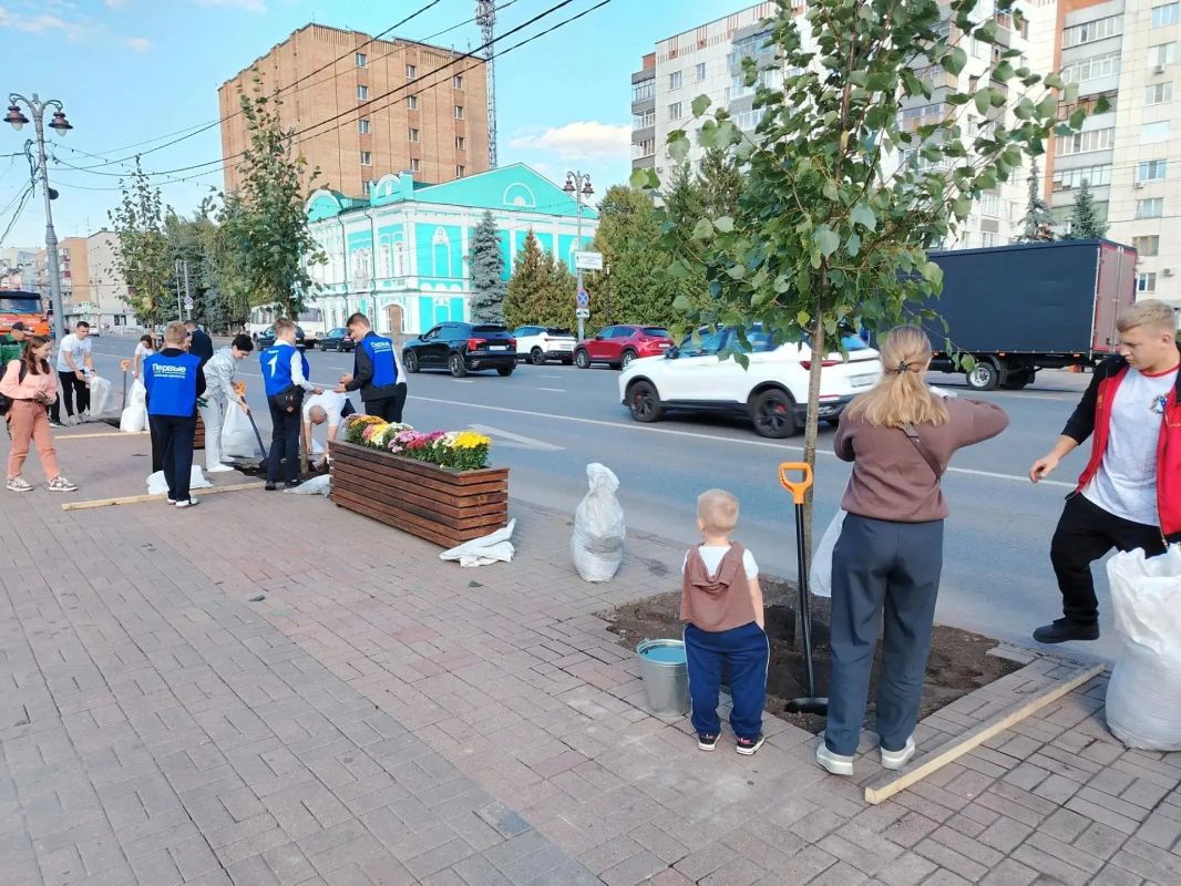 В Курске начали пересаживать липы, которые с недавних пор стояли в кадках на улице Ленина