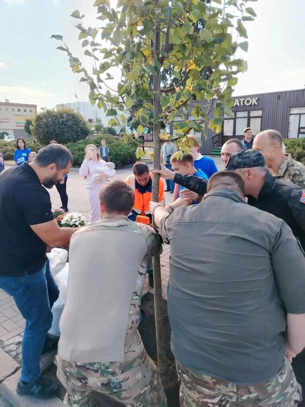 В Курске начали пересаживать липы, которые с недавних пор стояли в кадках на улице Ленина В Курске начали пересаживать липы, которые с недавних пор стояли в кадках на улице Ленина